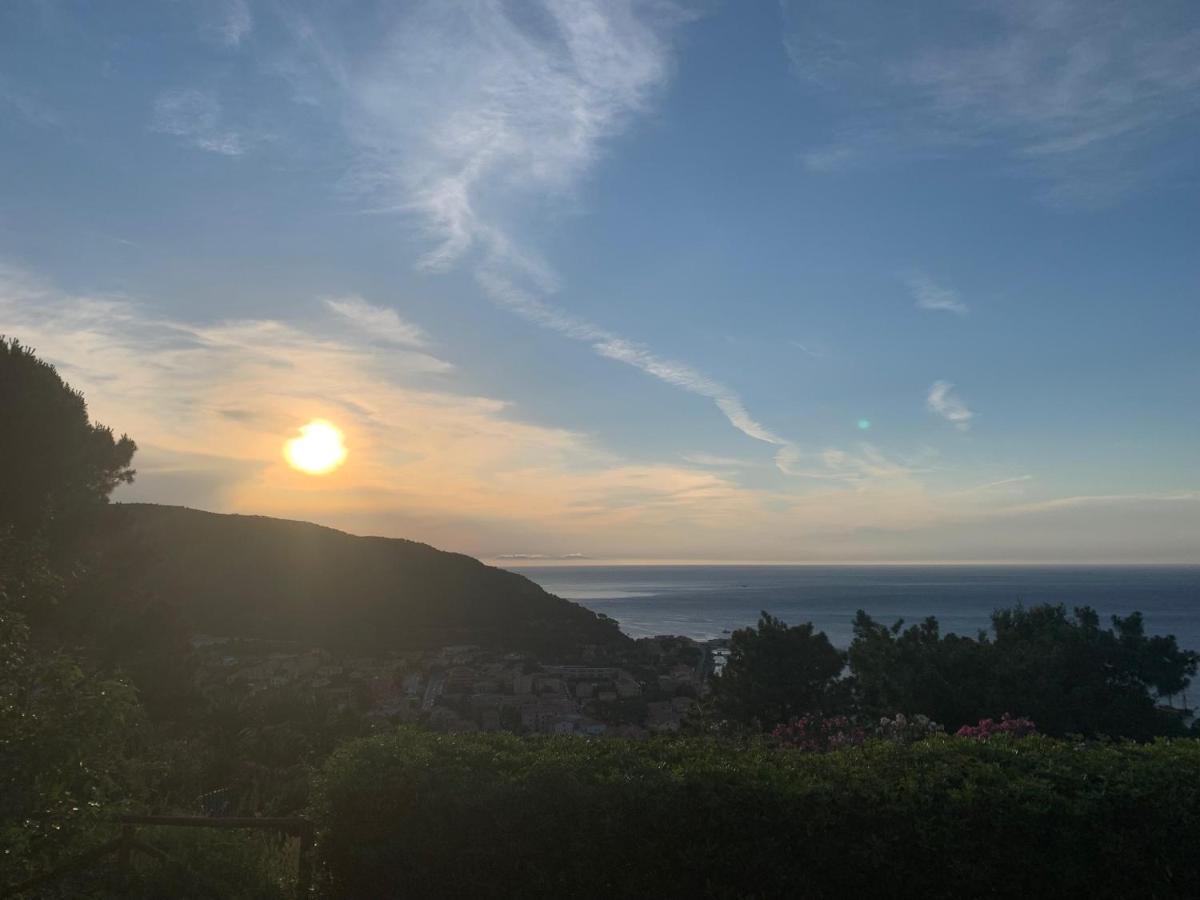 Alta Marina